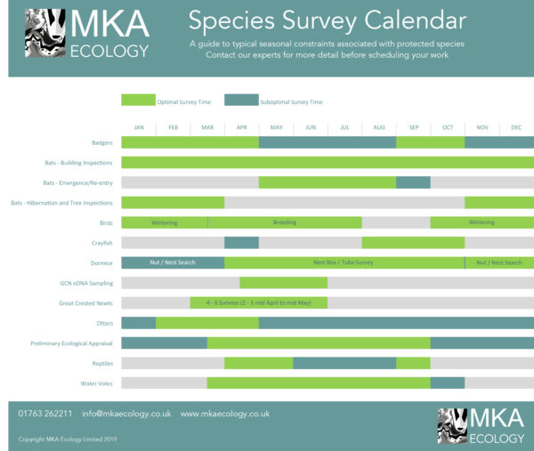 MKA Ecology Ecology Survey Calendar