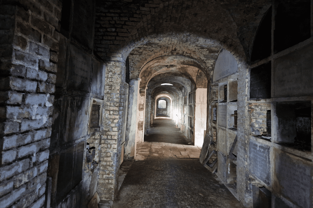 Highgate cemetery bats