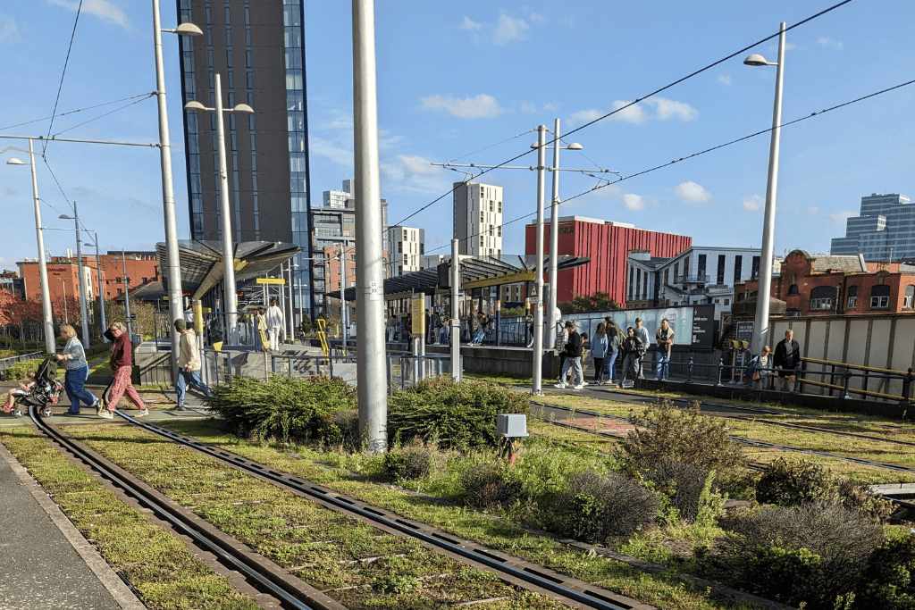 rail